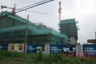 上實海上薈 上海上實海上薈配套實景圖,樣板間,效果圖,戶型圖 上海網易房產