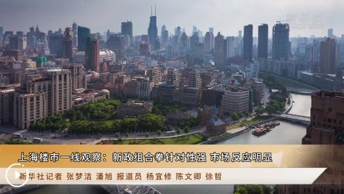 上海樓市一線觀察 新政組合拳針對性強 市場反應(yīng)明顯