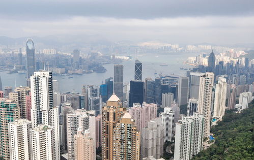 上海房地產經紀視角 中國房價上漲邏輯與城市發展縮影